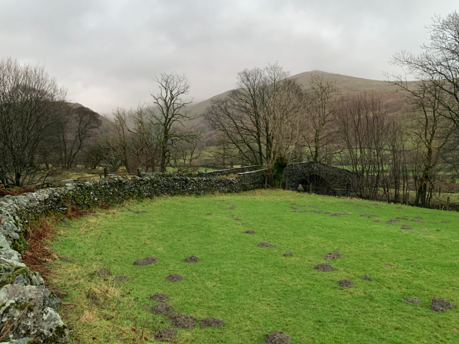 Troutbeck Tongue and Wansfell